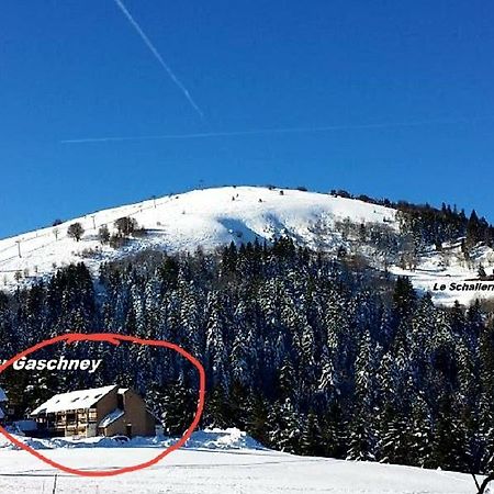 Le Montagnard Au Pied Des Pistes, Station Du Gaschney, Altitude 1000 M Apartment Muhlbach-sur-Munster Exterior photo