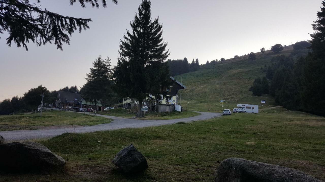 Le Montagnard Au Pied Des Pistes, Station Du Gaschney, Altitude 1000 M Apartment Muhlbach-sur-Munster Exterior photo