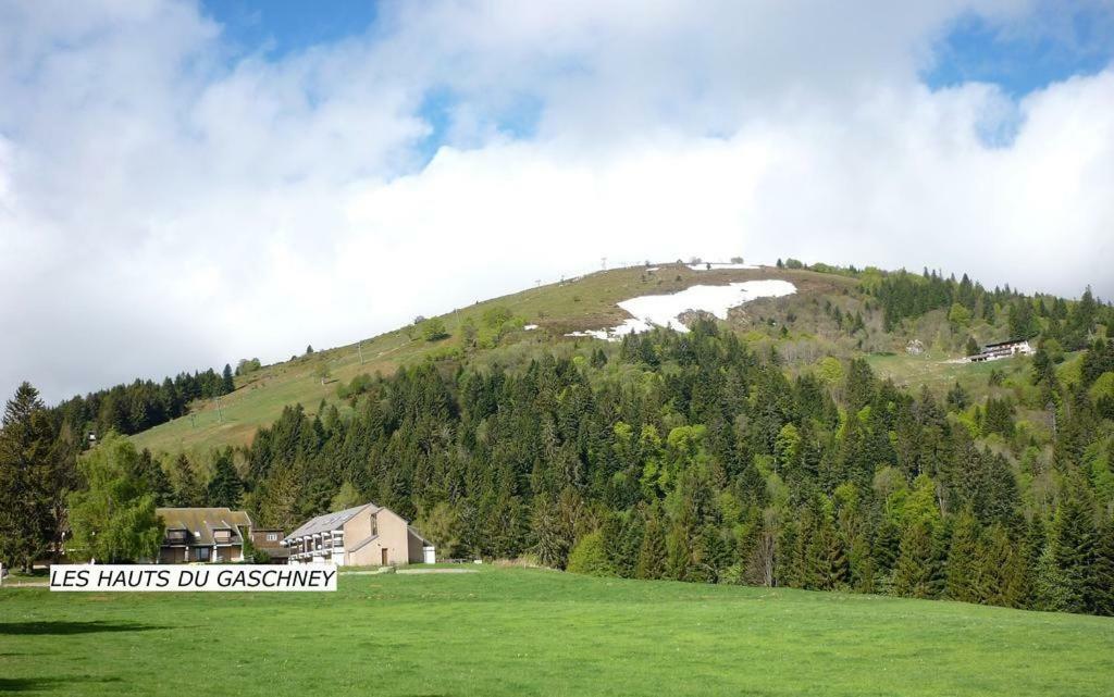 Le Montagnard Au Pied Des Pistes, Station Du Gaschney, Altitude 1000 M Apartment Muhlbach-sur-Munster Exterior photo