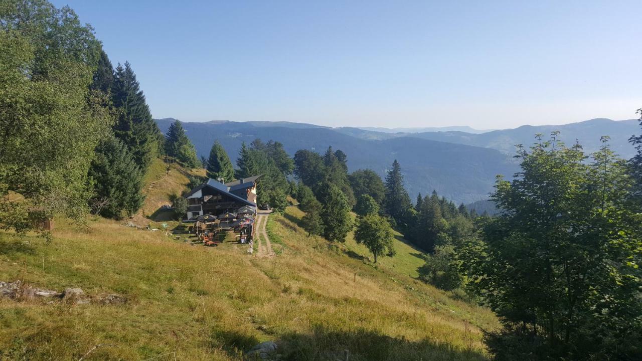 Le Montagnard Au Pied Des Pistes, Station Du Gaschney, Altitude 1000 M Apartment Muhlbach-sur-Munster Exterior photo