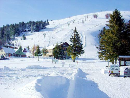 Le Montagnard Au Pied Des Pistes, Station Du Gaschney, Altitude 1000 M Apartment Muhlbach-sur-Munster Exterior photo
