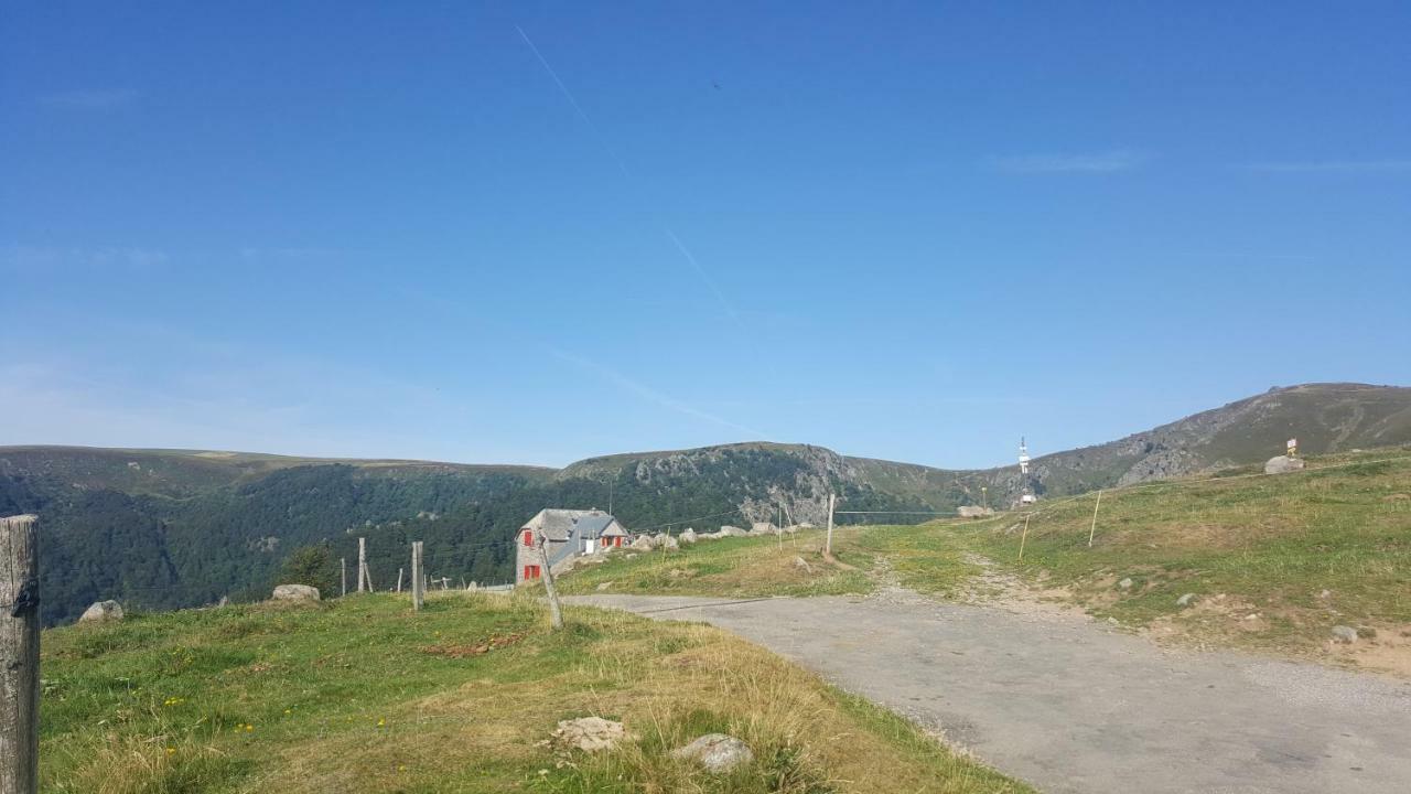 Le Montagnard Au Pied Des Pistes, Station Du Gaschney, Altitude 1000 M Apartment Muhlbach-sur-Munster Exterior photo