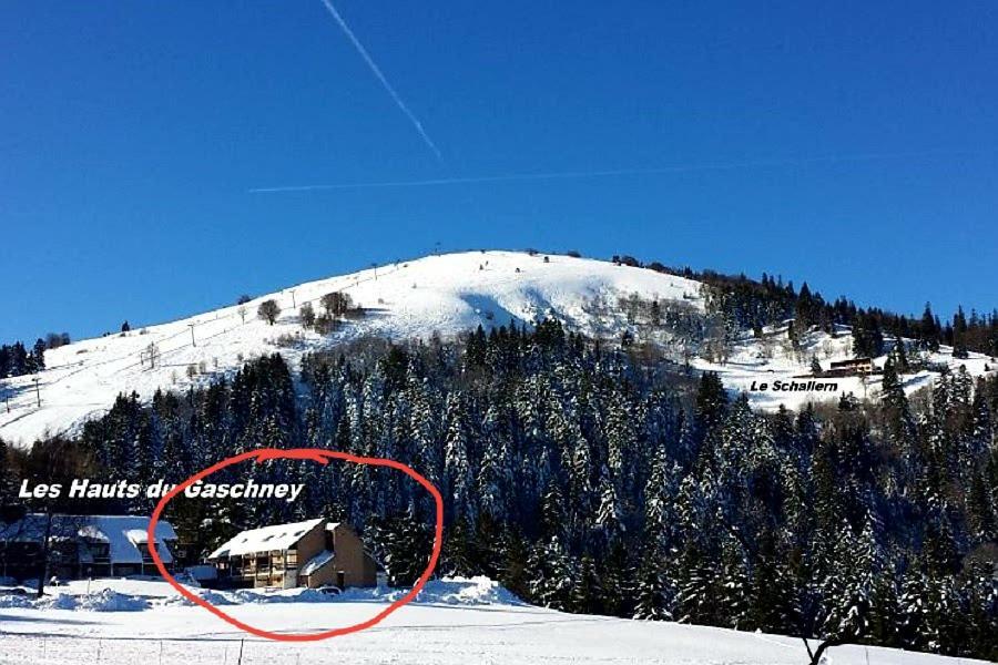Le Montagnard Au Pied Des Pistes, Station Du Gaschney, Altitude 1000 M Apartment Muhlbach-sur-Munster Exterior photo