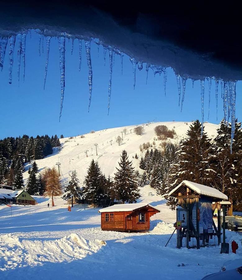 Le Montagnard Au Pied Des Pistes, Station Du Gaschney, Altitude 1000 M Apartment Muhlbach-sur-Munster Exterior photo